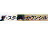 Style Council 2